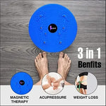 Home Fitness Tammy Twister Disc Best for Exercise